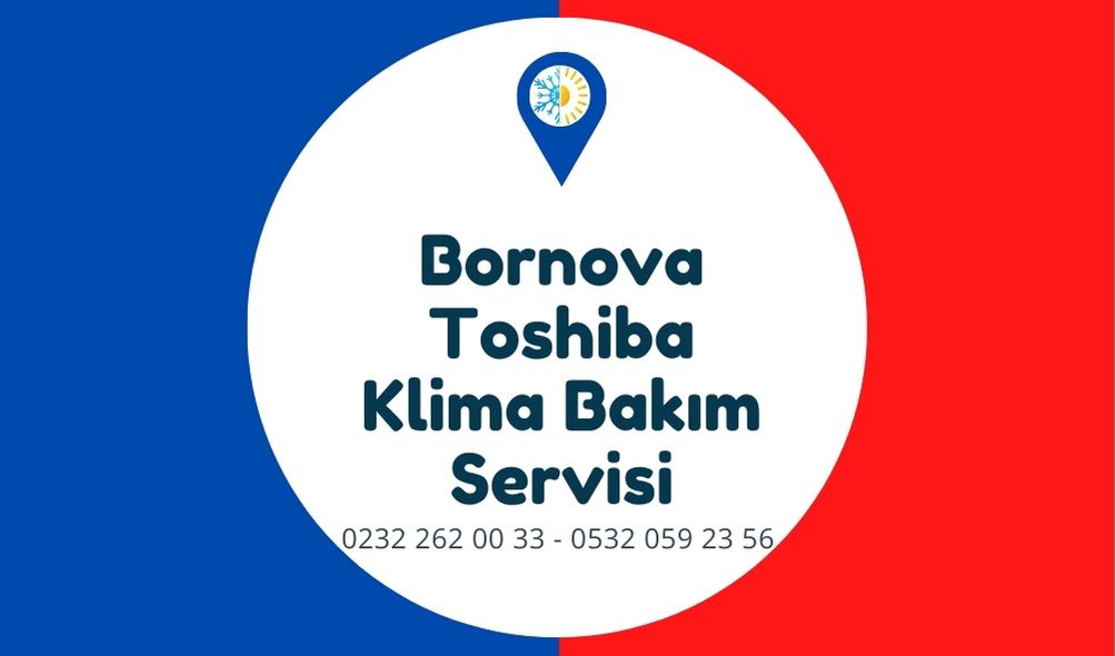 bornova-toshiba-klima-bakim-servisi